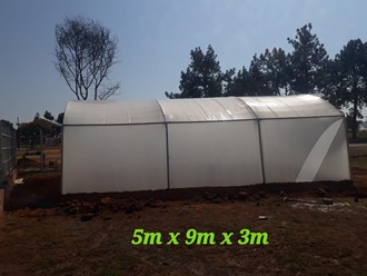 IMG-20220729-WA0018